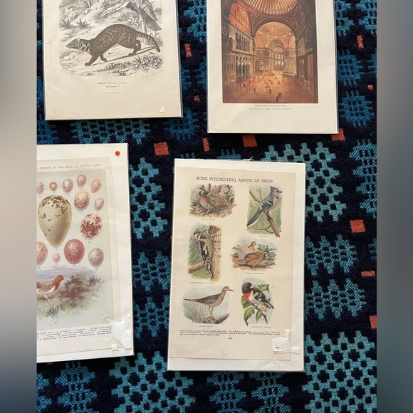 lot of 9 antique/vintage prints ready for framing - Picture 4 of 5